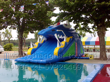 YLCH-20