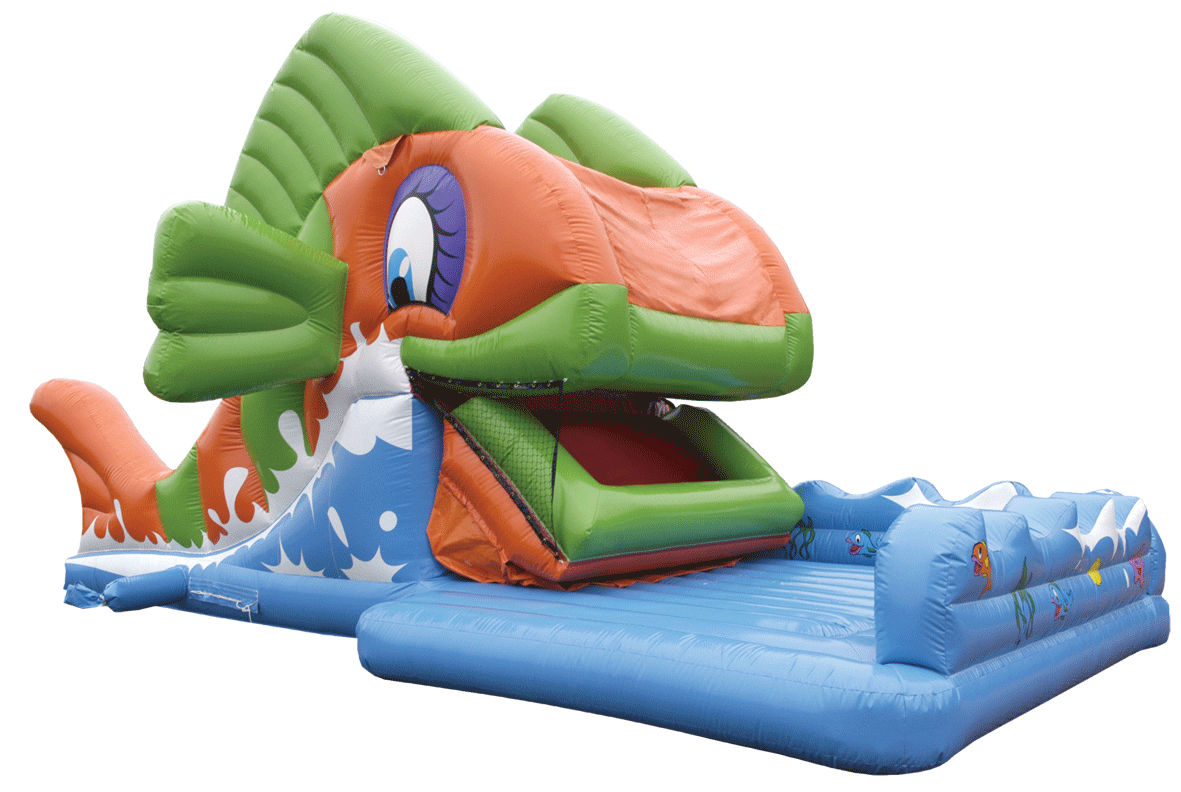 Backyard Inflatable Slide XZ-SL-065