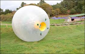 Zorbing-10