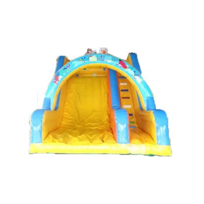 Inflatable Water Slide XZ-BH-320