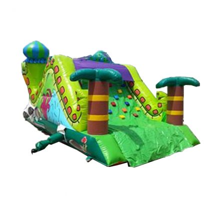 Inflatable Water Slide XZ-BH-311