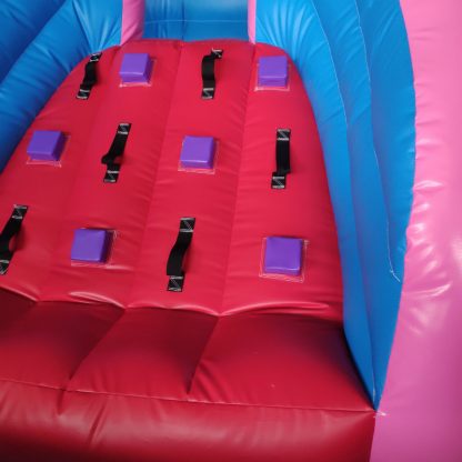 Heavy Duty PVC Inflatable Slide with Blower XZ-BH-4695