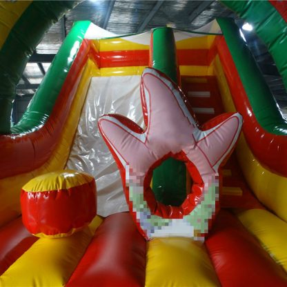 Giant Inflatable Slide for Sale XZ-BH-271