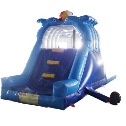 Inflatable Water Slide With Pool XZ-BH-005