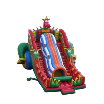 Adult Inflatable Water Slide XZ-BH-342