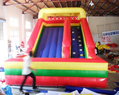 Heavy Duty PVC Inflatable Slide with Blower  XZ-BH-326