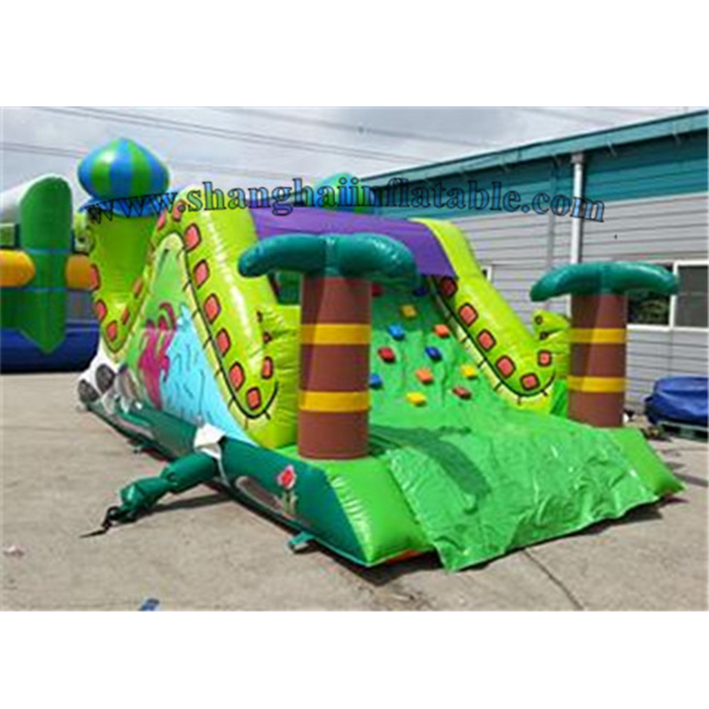 Inflatable Water Slide XZ-BH-311