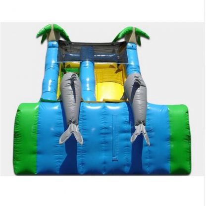 Inflatable Water Slide XZ-BH-310