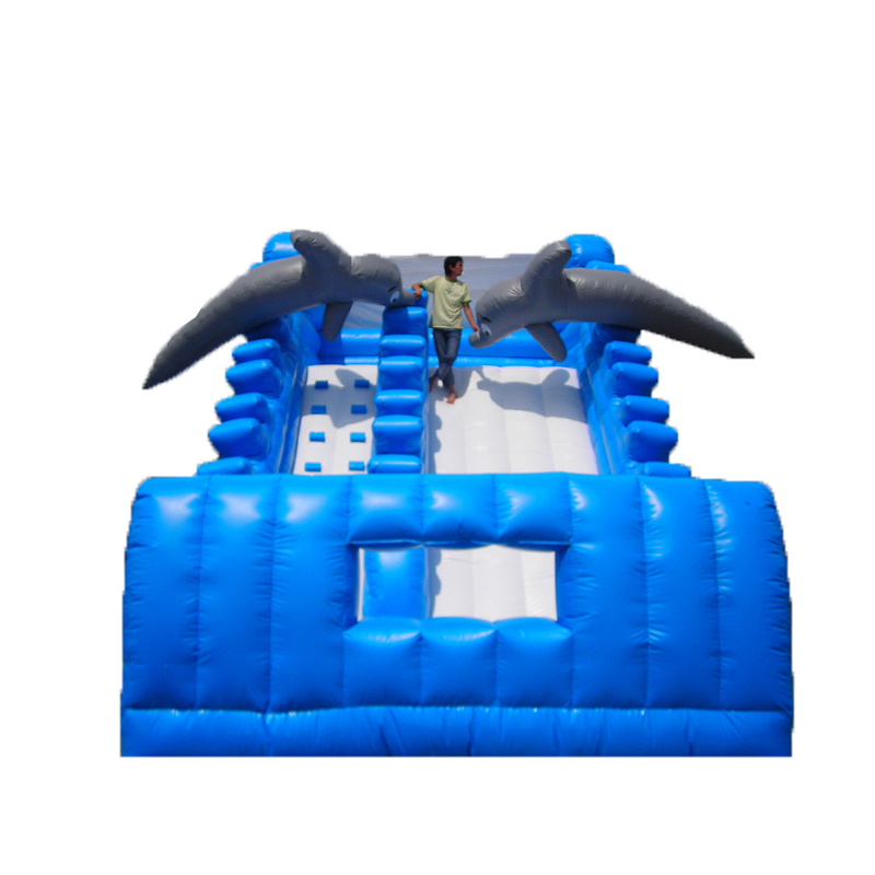 Huge Inflatable Slide XZ-BH-300