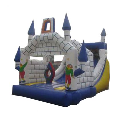 Giant Inflatable Slide for Sale XZ-BH-279