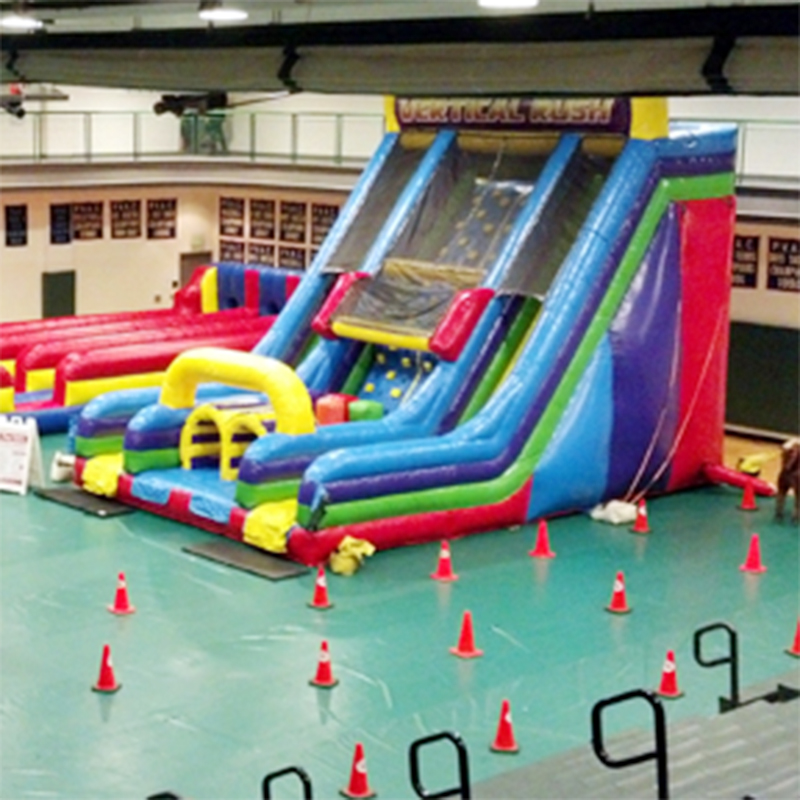 PVC Inflatable Slide with Blower  XZ-BH-338