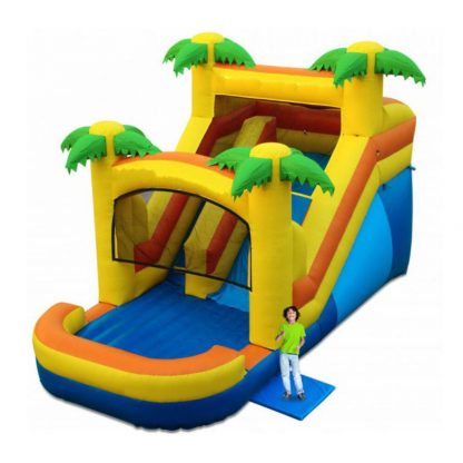 Giant Inflatable Slide for Sale XZ-BH-277