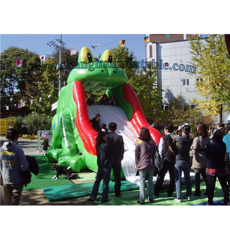 Giant Inflatable Slide for Sale XZ-BH-264