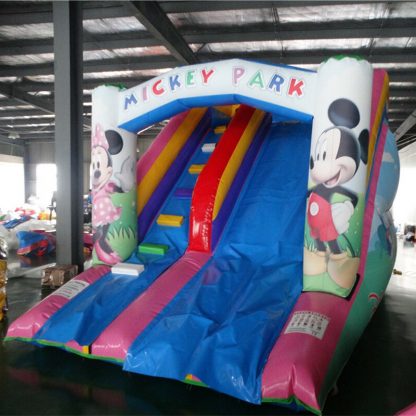 Huge Inflatable Slide XZ-BH-307