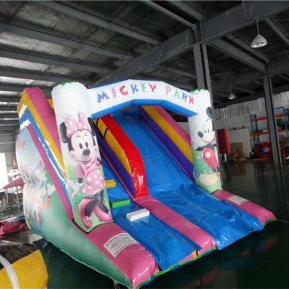 Huge Inflatable Slide XZ-BH-307