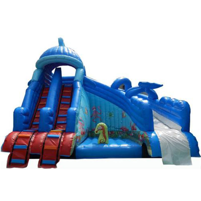 Inflatable Water Slide XZ-BH-4612