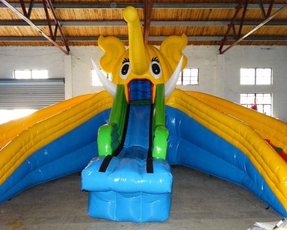 Water Slide XZ-BH-4594