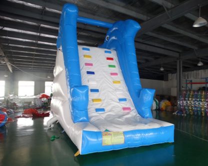 New Design Dolphin Slide Inflatable Water Slide Inflatable Pool Slide XZ-BH-4579