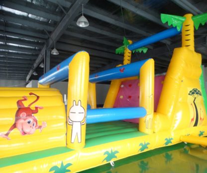 Commercial Grade Inflatable Funcity XZ-BH-4774