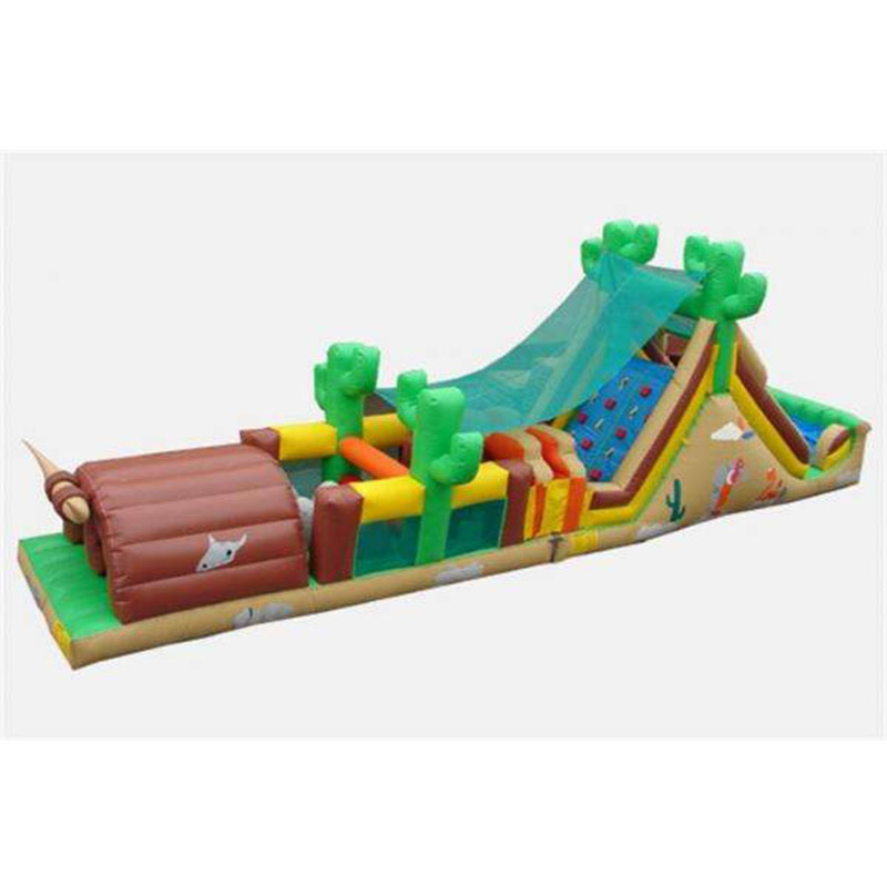 Commercial Grade Inflatable Funcity XZ-BH-4770