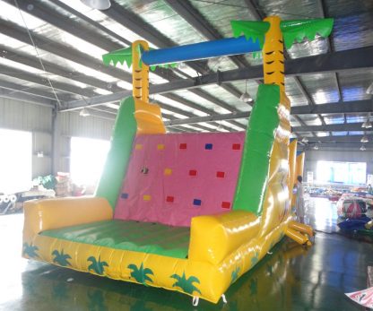 Commercial Grade Inflatable Funcity XZ-BH-4774