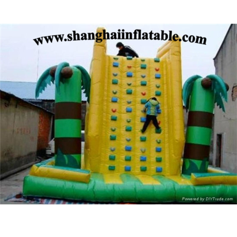 Inflatable Climbing Wall-CL54