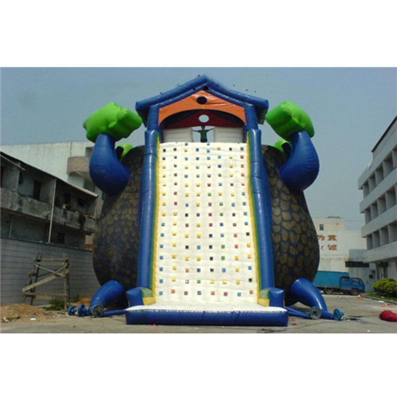 Inflatable Climbing Wall-CL56