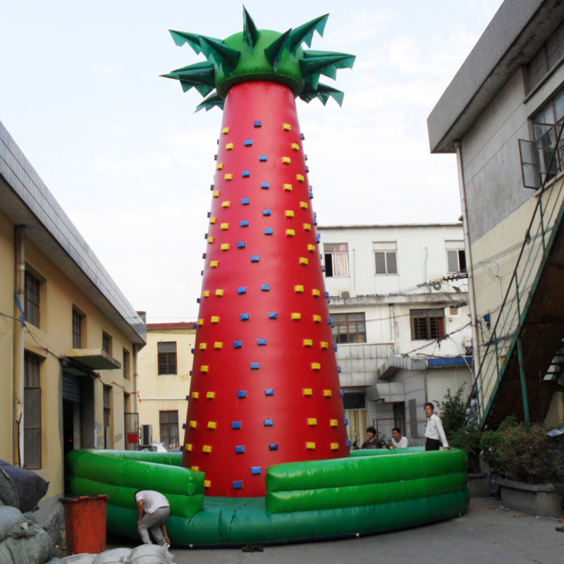 Inflatable Climbing Wall-CL64