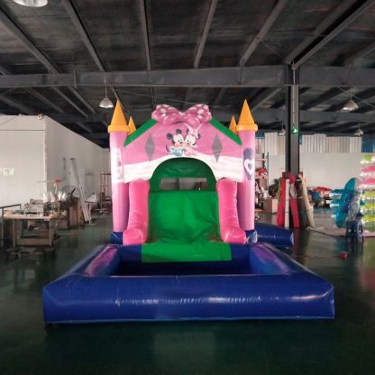 Inflatable Water Slide XZ-BH-583